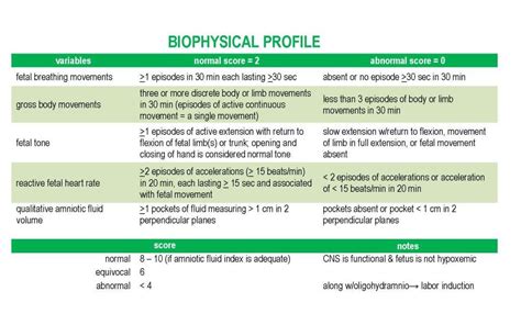 biophysical scoring|Biophysical Profile (BPP) Test: Understanding Your Score .